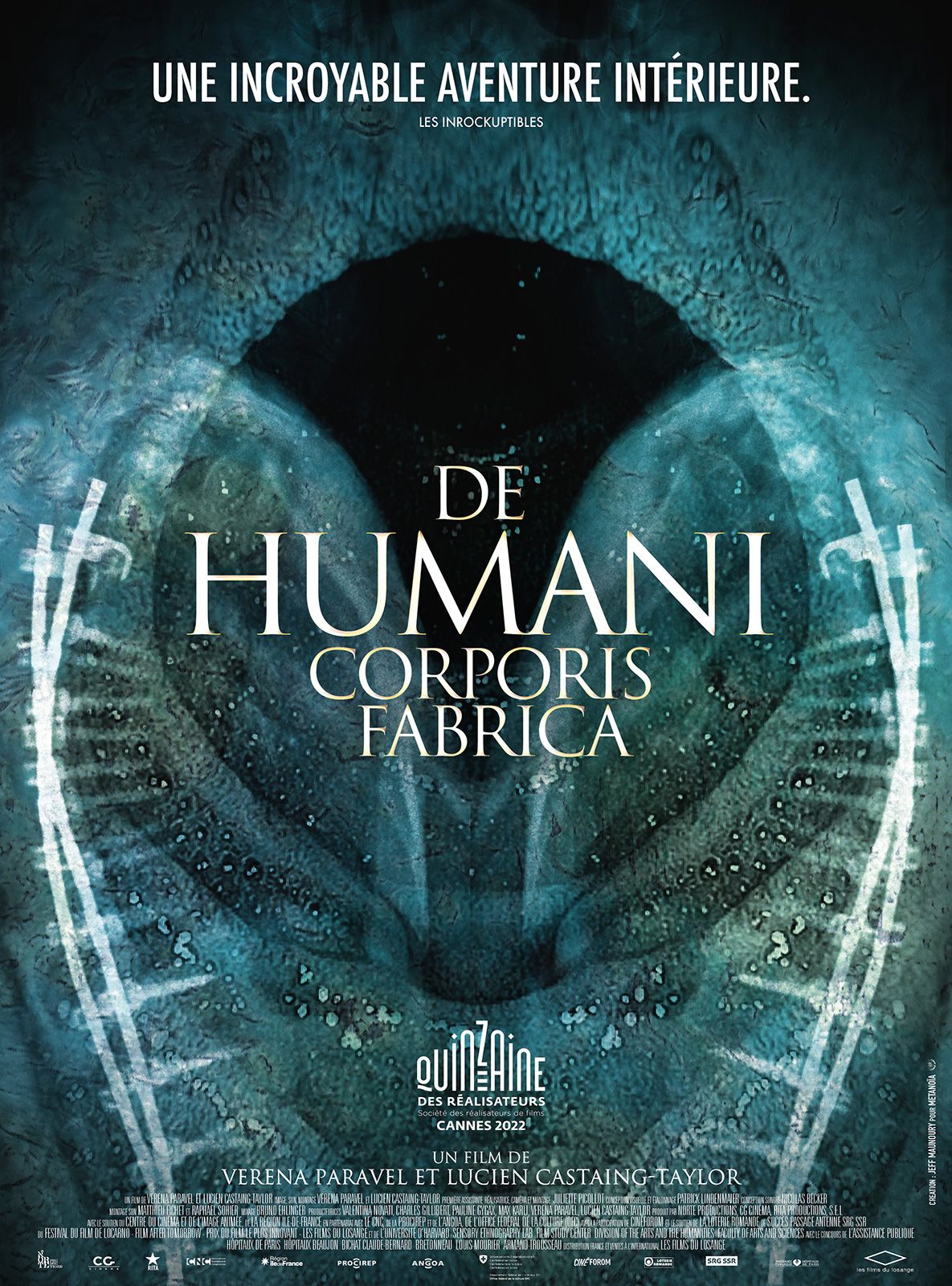 1、人体结构 De Humani Corporis Fabrica (2022) - 小本本-- 给你所需要的内容