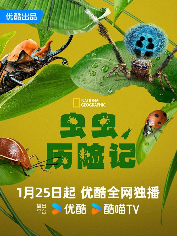 1、虫虫历险记 / A Real Bug's Life 又名: 虫虫危机 / 真实虫虫危机 全5集 | 类型: 纪录片 / 冒险 主演: 奥卡菲娜 - 小本本-- 给你所需要的内容