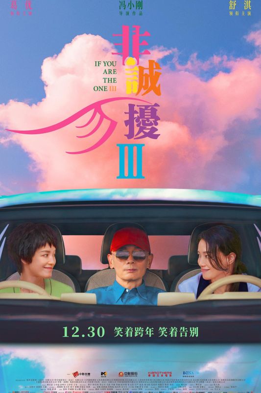 非诚勿扰3【4K中码率+HDR Vivid 10bit+多规格音轨】【导演：冯小刚 | 主演：葛优 | 舒淇 | 范伟】