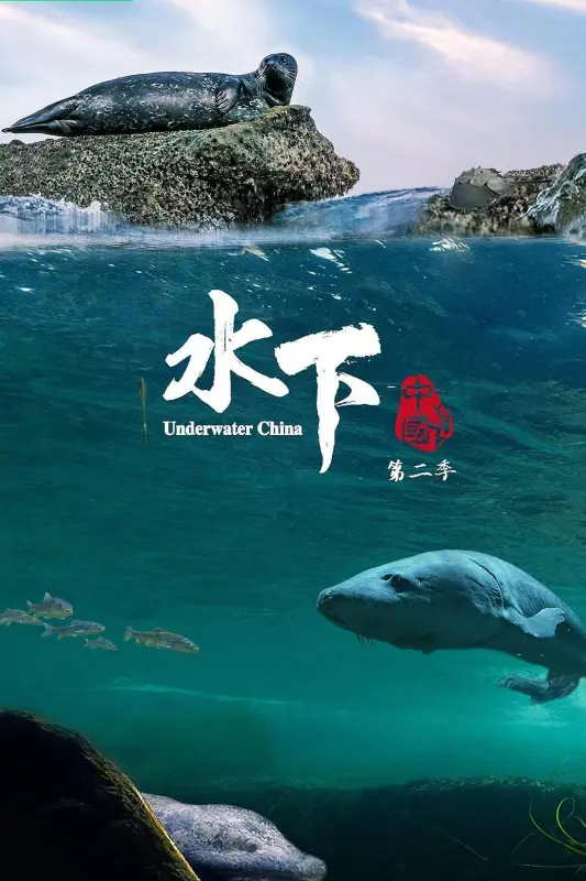 1、水下中国 第二季/Underwater China 全6集 [国语/中字] - 小本本-- 给你所需要的内容