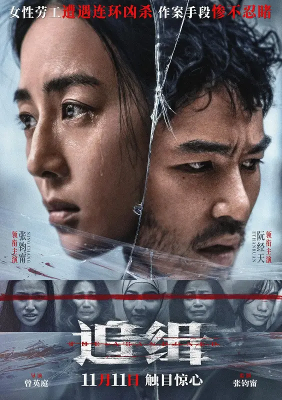 1、追缉/The Abandoned/查无此心/被操纵的罪恶/野鬼 | 导演：曾英庭 | 主演：张钧甯 / 阮经天 / 游安顺 [内封简繁英等多国字幕] - 小本本-- 给你所需要的内容