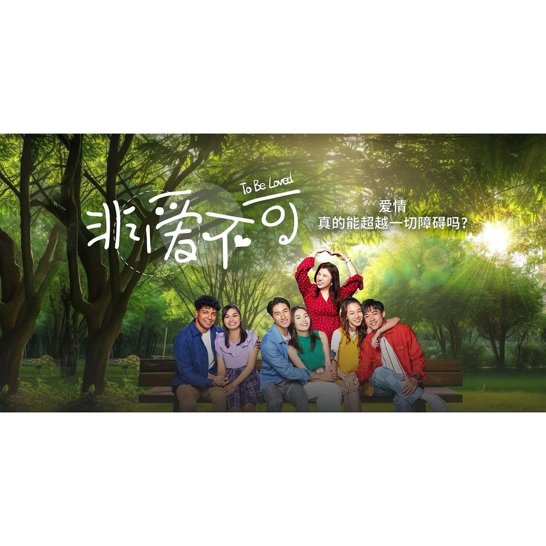 非爱不可/To Be Loved 第1-5集 | 导演: 卢燕金 主演: 洪丽婷 孙政 崇喆 [汉语普通话/中字]