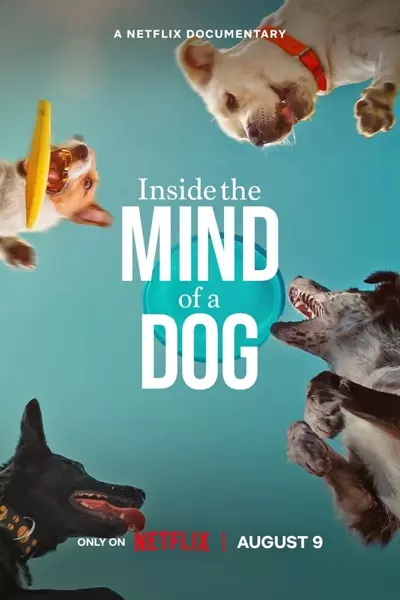 汪星人的奇思妙想 Inside the Mind of a Dog (2024)